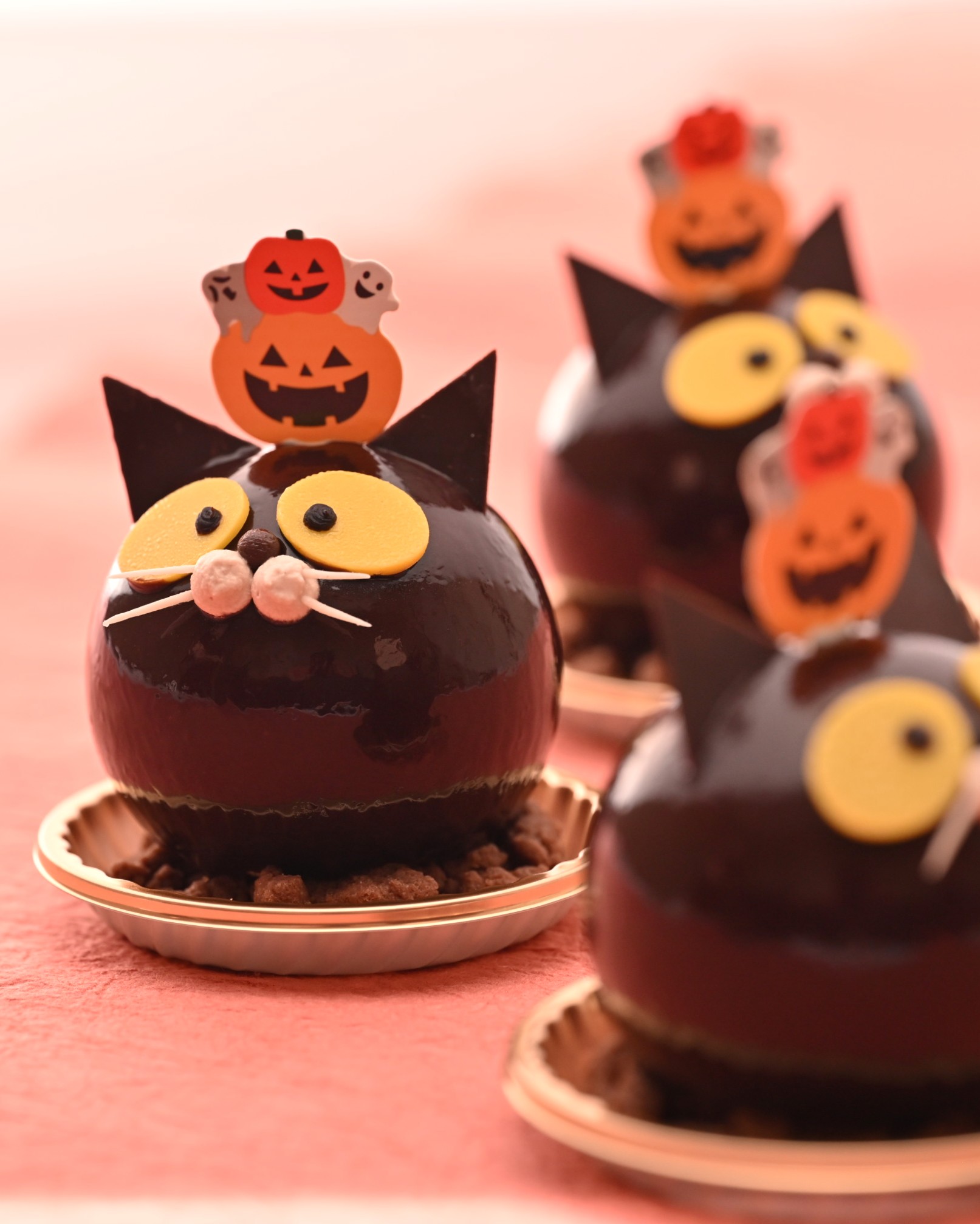 ロイヤル季節のおすすめ「黒猫チョコレートケーキ」b4明るく.jpg